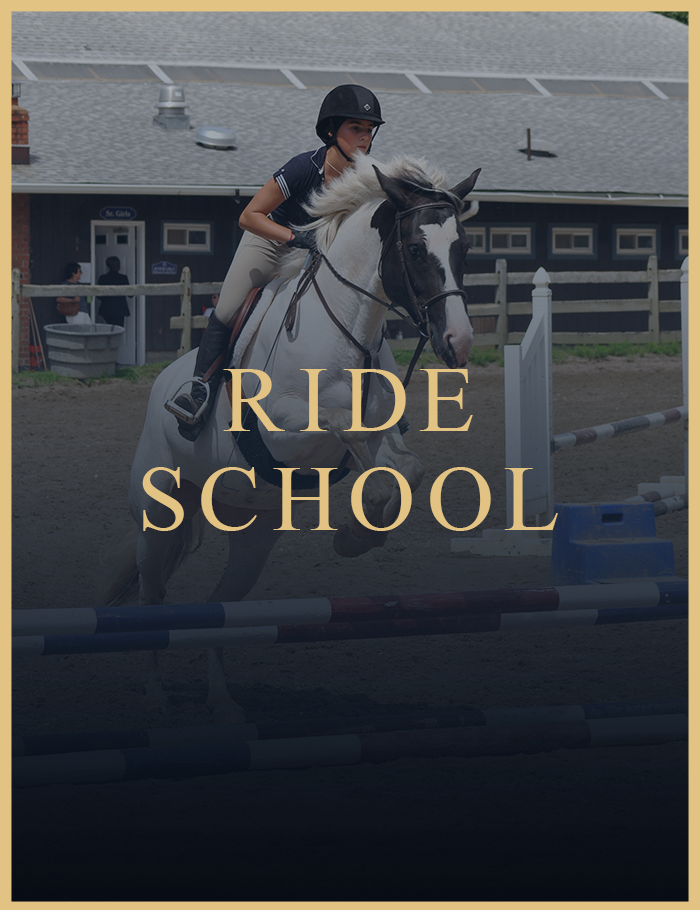 ride-school-new-img-update-new | Thomas School of Horsemanship, Ride ...